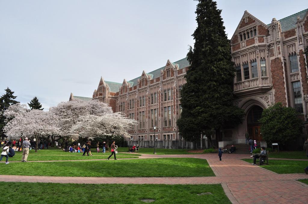 Washington Research Foundation Awards $275K to Support David Koelle’s ...